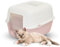 Paluplus Box Lettiera per Gatti Chiusa, Misura 48x38x32 cm, con coperchio apribile e porta basculante, Toilette gatti con filtro assorbi odori ai carboni attivi -314F (Rosa)