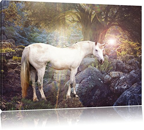 Pixxprint wunderbares Einhorn, Größe: 80x60cm, Leinwandbild, fertig gespannt, Wandbild, Dekoration, Kunstdruck, kein Poster