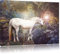 Pixxprint wunderbares Einhorn, Größe: 80x60cm, Leinwandbild, fertig gespannt, Wandbild, Dekoration, Kunstdruck, kein Poster