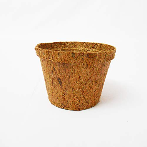 CoirProducts.co.uk PACK OF 50 BIODEGRADABLE PLANT POTS | MADE USING COIR | 10CM POT X 50