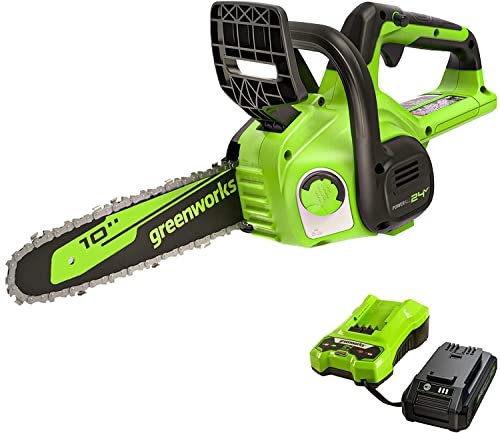 Greenworks - Sega a batteria, 24 V, catena da 25 cm, leggera, con batteria da 2,0 Ah e caricatore da 2 A