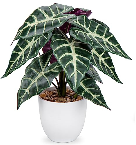 Briful Künstliche Pflanze, 38.1 cm, realistische Topfpflanze, Alocasia Amazonica Polly Kunstpflanze, große Blätter, künstliche Zimmerpflanze, Wohnzimmer, Hochzeitsdekoration