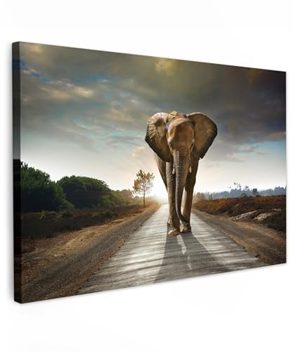 MuchoWow© Wandbilder Groß 120x80 cm XXL Schlafzimmer Home Deko Wohnung Bild Tier Wohnzimmer Fotoleinwand Wand Bilder Tierbilder auf Leinwand Wall Decor Wanddeko Waldtiere - Elefant - Sonnenuntergang