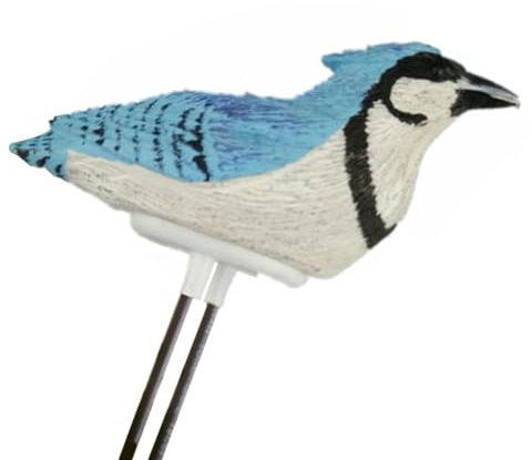 Testeur d'humidité du sol en résine pour oiseaux et plantes en pot - Alarme humide - Rappel d'arrosage extérieur - Avec un merveilleux chant bleu