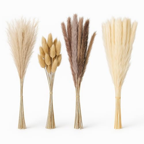 Relaxdays pampasgräs, 144-pack, längd: 41 cm, torkade blommor, flerfärgad | boho-dekoration, torkad blombukett