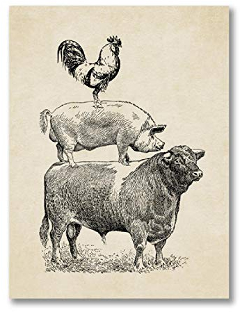 juntop Farm Geflügel Kuh Schwein Huhn Poster Vintage Küche Dekor Land ländlichen Retro Wandbild Leinwand Malerei Drucke Home Decoration 70X90cm Rahmenlos