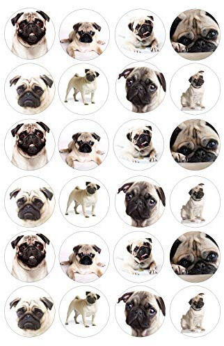 24 edible pre-cut Pug Pugs dog breeds style childrens kids party Standing Cupcake Cake Toppers Wafer Rice Card