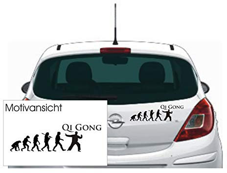 KFZ Aufkleber Evolution 'QiGong' – Chigong