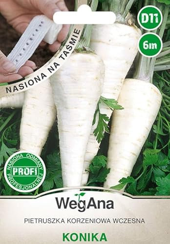 WegAna prezzemolo radice Konika nastro di semi 6m prezzemolo radice, robusti semi di ortaggi semi di propagazione semi per serra