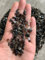 Indian Consigners Natural Crushed Polished Tumbled Gem Stone Chips, Decoration & Healing Crystals (Smokey Quartz)