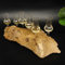 GTK Geweihe & Trophäen Krumholz Schnapsanbieter 6 Gläser mit Stiel auf Wurzel Steckglas Set Schnaps Geschenk Neu 27.60.1.26