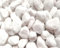 Galets roulés blancs 20-40 mm. Décoration de jardin, pots et aquariums | Pierres naturelles pour extérieur et intérieur (3 kg)