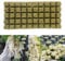 ANAJOY 50 or 100 Holes Rockwool Grow Cubes, Hydroponic Growing Greenhouse Soilless Cultivation Mini Compress Base Stonewool Starter Cubes for Plants Starting/Root Cuttings/Plant Growth(50 Holes)
