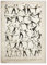 Bilder, Poster, Kunstdrucke Jiu Jitsu Poster Boxen Wrestling Fechten Kampftechnik Diagramm Vintage Print Leinwand Malerei Schwert Säbel Cane Stick Baton Poster Und Drucke - 50X70Cm