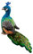 Asudaro Plüsch Pfauen, Plüschtier Pfau Stofftier Bunter Pfau Kuscheltier Pfau 25cm/32cm Plüschpfau Plüschvogel für Kinder Kindergeburtstag Ostern Weihnachten