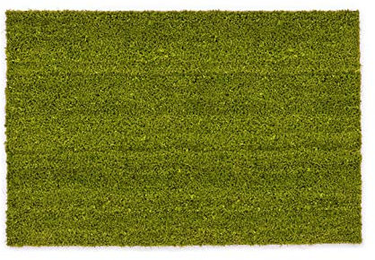 Carpido rutschfeste Kokosmatte - 50 x 80 cm Grün - Nachhaltige Naturfaser für den überdachten Außenbereich - 100% Kokos Fußmatte - Türmatte Eingang