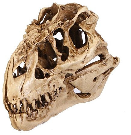 dragonaur-home decor 1 Stück Kunstharz Imitation Knochen Skelett Schädel Modell Dinosaurier Schädel Fossilien Lehren Skelett Halloween Festival Requisiten für Display Aquarium Dekoration Zufällig