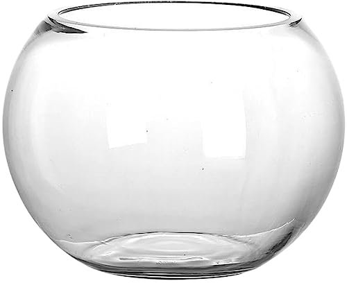 Didiseaon Bol À Poissons en Verre Transparent De Bureau Petit Aquarium Rond pour Poissons Micro Paysage