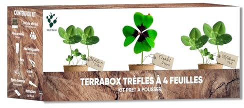 Kit Trèfle à 4 Feuilles Porte-Bonheur – Graines Bio Oxalis Deppei, Trifolium White & Pink – Cadeau Insolite Femme Homme – DIY Jardin Intérieur Chance & Déco – Made in France
