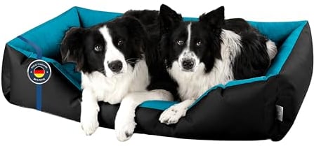 BedDog Hundebett XXL - Hundekissen - Hundekorb - Hundecouch - Hundesofa - Bezug abziehbar, Waschbar, für Mittel-Große Hunde