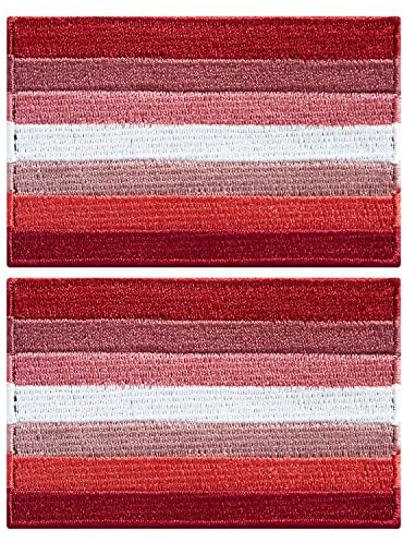 stidsds Paquete de 2 parches bordados de bandera de arcoíris del orgullo lesbiano, banderas gay, banderas LGBTQ, parche táctico militar para ropa, sombrero, mochilas, decoraciones de orgullo