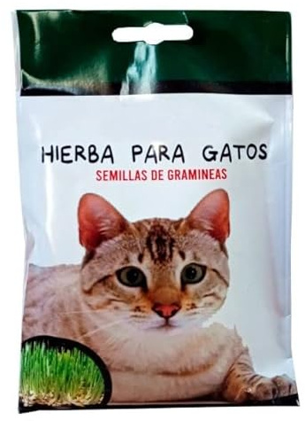 Semillas de Hierba para Gatos Césped para Animales