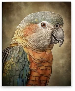 A.S. Création Leinwandbild Papagei - Wandbild in Bunt, Orange - 40 x 50 cm - DD133347