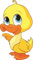U24 Aufkleber Baby Ente Duck Autoaufkleber 14 x 7 cm Sticker Konturschnitt