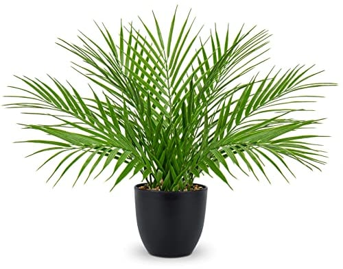 Oairse Planta Artificial de 38 cm en macetas, Planta Artificial de Palmera de Areca Decorativa, Plantas Artificiales en Maceta, Plantas Tropicales realistas para Interiores para el hogar, Oficina