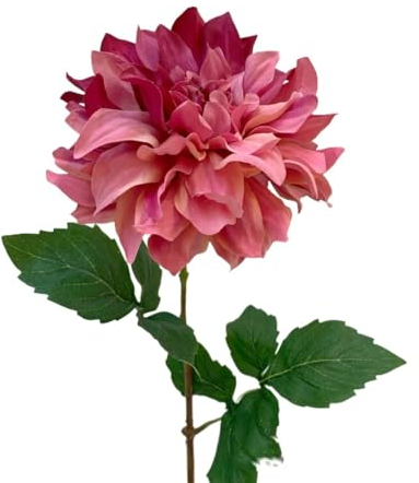 HXSCOO Simulierte Dahlie, Einzelzweig-Seidenblumen-Dahlie (Color : Rot)