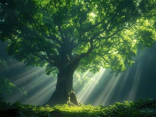 Baum Malen Nach Zahlen Licht Malen Nach Zahlen Kinder,DIY Kreativ Bastelset Erwachsene,Painting by Numbers mit Pinseln und Acrylfarben,für Geschenke und Home Wand Dekor (45x60cm,Ohne Rahmen) WS-204