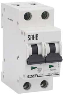 Diferencial Auto Rearmable Disyuntor en miniatura 2P MCB tipo C 400 V 50 Hz/60 Hz, interruptor de aire doméstico en miniatura de 6 A, 10 A, 15 A, 20 A, 25 A, 32 A, 40 A, 50 A, 63 A Diferencial Auto Re