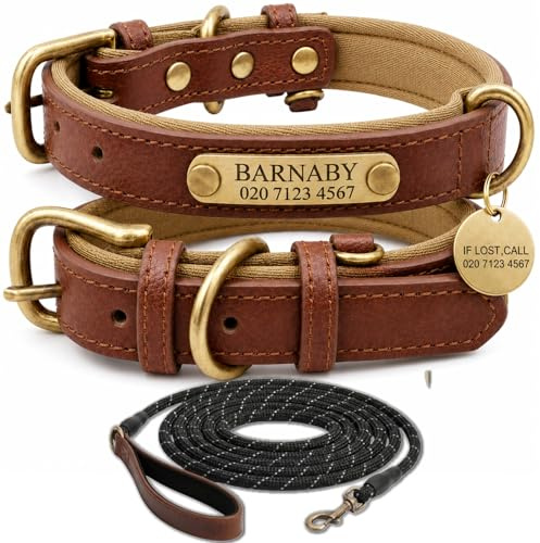 Juego de collar y correa de cuero para perro personalizado con placa de identificación con nombre grabado, diseño ajustable y cómodo para perros pequeños, medianos y grandes, juego de collar para