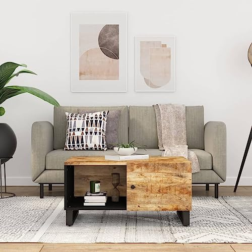 Generic Couchtisch aus Massivholz mit 2 Fächern, Einzigartigem Design, Geräumigem Stauraum, Stabiler Tischplatte und Praktischer Tür für das Wohnzimmer, 80 X 50 X 40 Cm (Helles Holz)