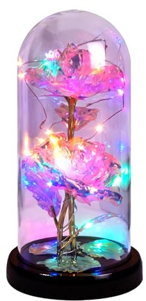 AuSletie Eternal Glitter Rose in Glass Dome with LED Light Romantic Flower Lamp Forever Rose Gift for Women, Girlfriend, Wife on Birthday, Anniversary