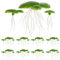 UKCOCO Aquarium Dekoration 2 Packs/ 36PCS Simulierte Wasserlinsen- Pflanze Kunststoff- Wurzelwasserpflanze (grün)