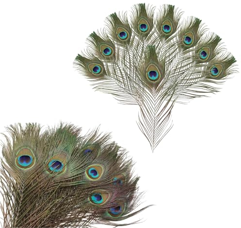 Klaimbmo 20 Stück pfau Federn, pfauenfedern, Pfauenfeder, pfauenfedern kostüm, pfau Feder, pfauenfedern künstlich für Hüte DIY Craft Handwerk Kopf Dekorationen Pfau Deko 25-30CM