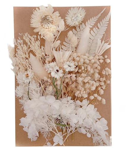 KSJEHW Getrocknete Blumen,Natürliche Trockenblumen zum Basteln Trockenblumen Deko ​für DIY Epoxidharz Kunsthandwerk,Kerzen Deko,Karten Deko,Scrapbooking,Hochzeitsdekoration(Weiß)