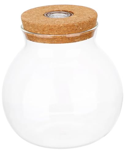 WEKADRIN Glasbehälter für Flaschengarten mit LED Beleuchtung Ökologische Mikrolandschaftsflasche aus Klarem Glas für Zimmerpflanzen und Aquarien