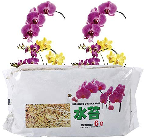 Langfaseriges Sphagnum-Moos, 6 L Natürliches Sphagnum-Moos, Blumenerde für Fleischfressende Pflanzen, Phalaenopsis-Orchideen, Sarracenia, Sukkulenten, Venusfliegenfallen, Reptilien