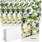 14pcs Wäscheduft Schrank Duftsäckchen Kleiderschrank Dufterfrischer, Schrankduft Frische, Duftbeutel Kleiderschrank Duft Hanging Beutel, Schrankdeo Natürlichen Geruch Sachet (14Nachtschatten)