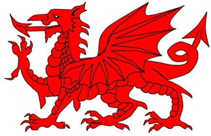 TENNER.LONDON Set of 5 Welsh Dragon Iron on Screen print Fabric Applique machine washable transfer Wales Dragon