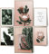 BLCKART Botanic Rose and Green Poster Set Deko Grün Rosa (L | 2x A3 | 4x A4 | ohne Rahmen)