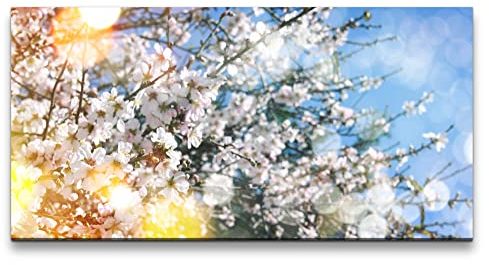 Paul Sinus Leinwandbild 120x60cm Frühling Baumblüten Kirschblüten Sonne warmes Licht