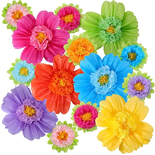 TaoBary Large Colorful Tissue Paper Flowers Giant Fiesta Paper Pom Poms Mexican Birthday Decorations for Wall Wedding Backdrop Centerpiece Party Supplies(20 and 10,Rainbow Color,12 Pcs)