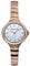 Emporio Armani Swiss Watch for Women, Two Hand Movement, 25 mm Rose Gold Stainless Steel Case with a Stainless Steel Strap, ARS8007