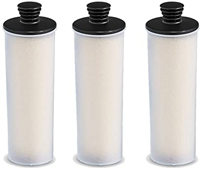 LANGshaw Cartouche De Filtre De Nettoyage De Détartrage De L'Agent Stick Agent Compatible for Karcher SC2 / for SC2 Premium/for Sc3 Haut De Gamme Leisurely