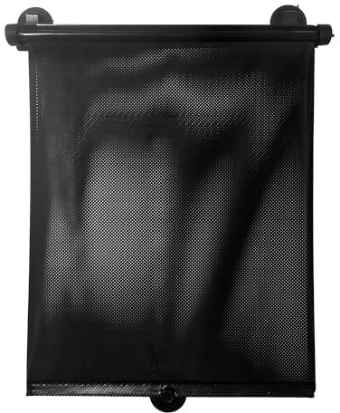 Asalvo - Parasol Enrollable para Coche