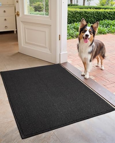 COLOR&GEOMETRY Door Matts Indoor 60 x 120 cm, Dirt Trapper Entry Mat Non Slip Washable, Large Doormats Inside Black Indoor Mats for Front Door Back Door Dog Mats for Muddy Paws