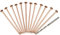 Copper Nails to Kill Tree Stump-15PCS Tree Killer Nails for Stumps and Roots, Effective Root For Killing With 4 Inch Copper Nails, Tree Killer Nail for Horticultural Projects